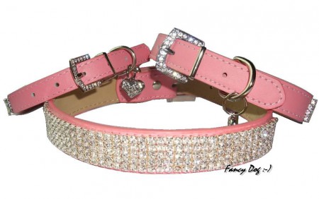 Moderný kožený obojok